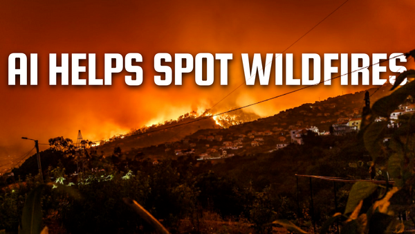 How AI Helps Spotting Wildfires