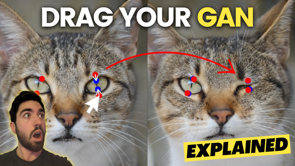 Image Manipulation with Your Mouse! Drag Your Gan Explained