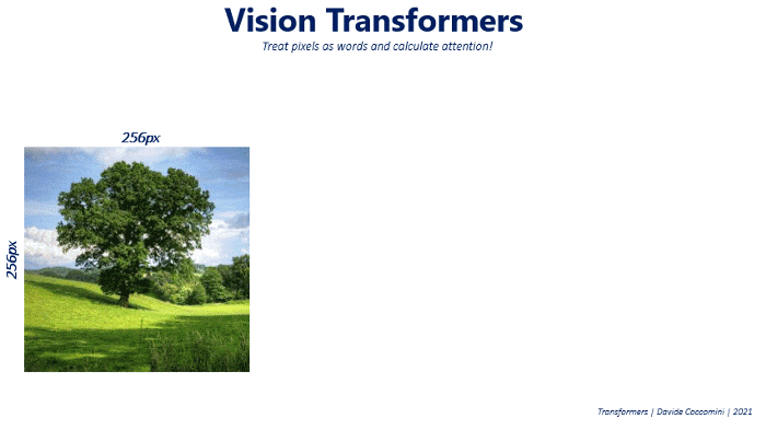 Exemple visuel tiré de Comment les Transformers peuvent-ils être utilisés en vision par ordinateur ?