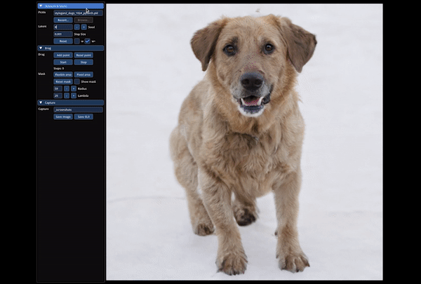 Exemple visuel de l’article « Manipulez des images avec votre souris ! Drag Your GAN expliqué »