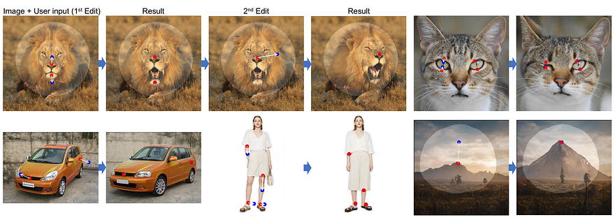 Exemple visuel de l’article « Manipulez des images avec votre souris ! Drag Your GAN expliqué »