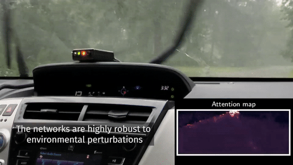 Exemple visuel tiré de Des réseaux neuronaux inspirés de la biologie pour les voitures autonomes