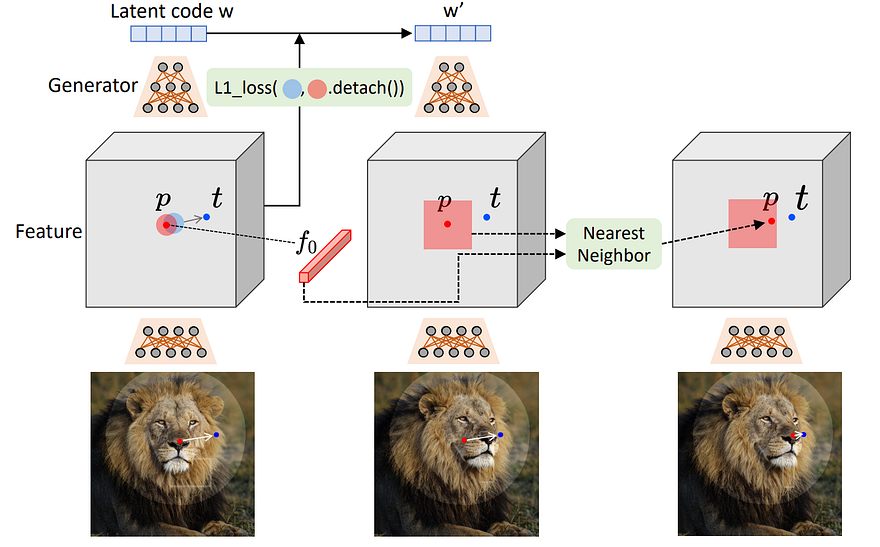 Exemple visuel de l’article « Manipulez des images avec votre souris ! Drag Your GAN expliqué »