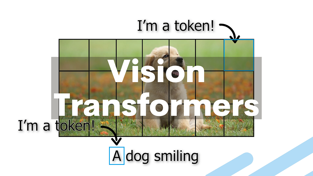 Visual example from Top 10 Computer Vision Papers of 2021
