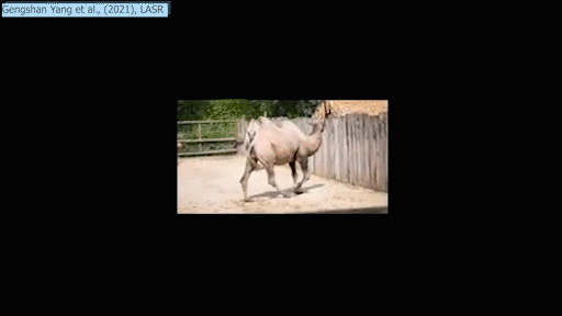 Exemple visuel de l’article « Reconstruction 3D articulée à partir de vidéos »