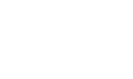 What's AI logo in white